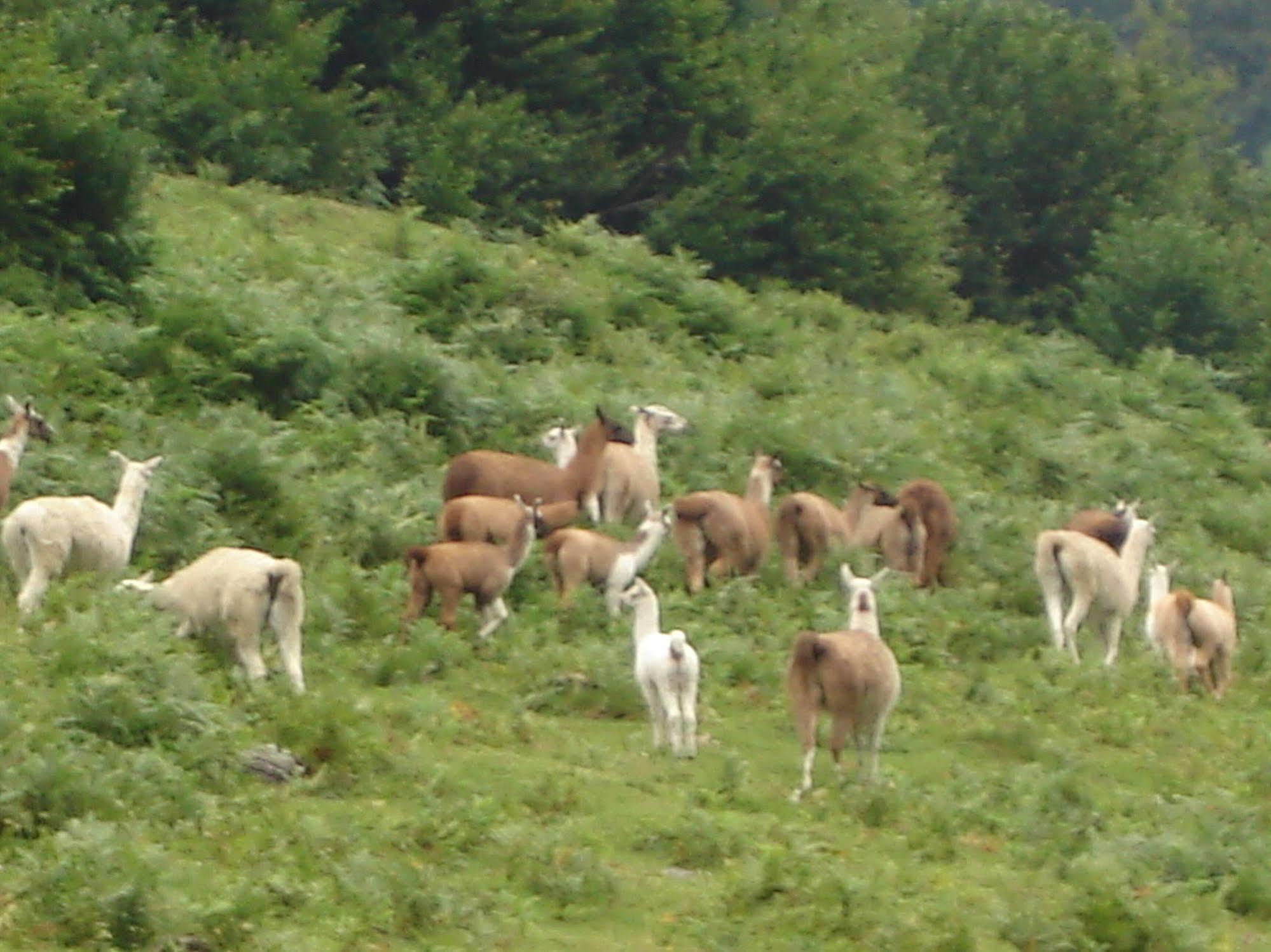 Gite Auberge Les Cascades La Mongie Dış mekan fotoğraf