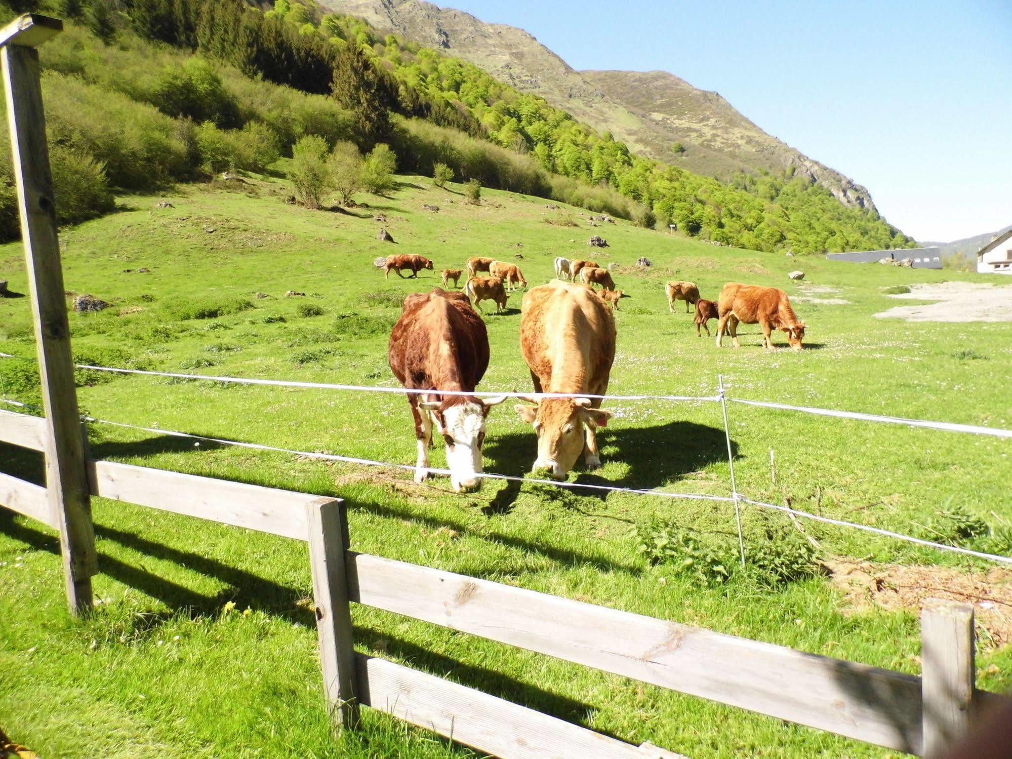 Gite Auberge Les Cascades La Mongie Dış mekan fotoğraf