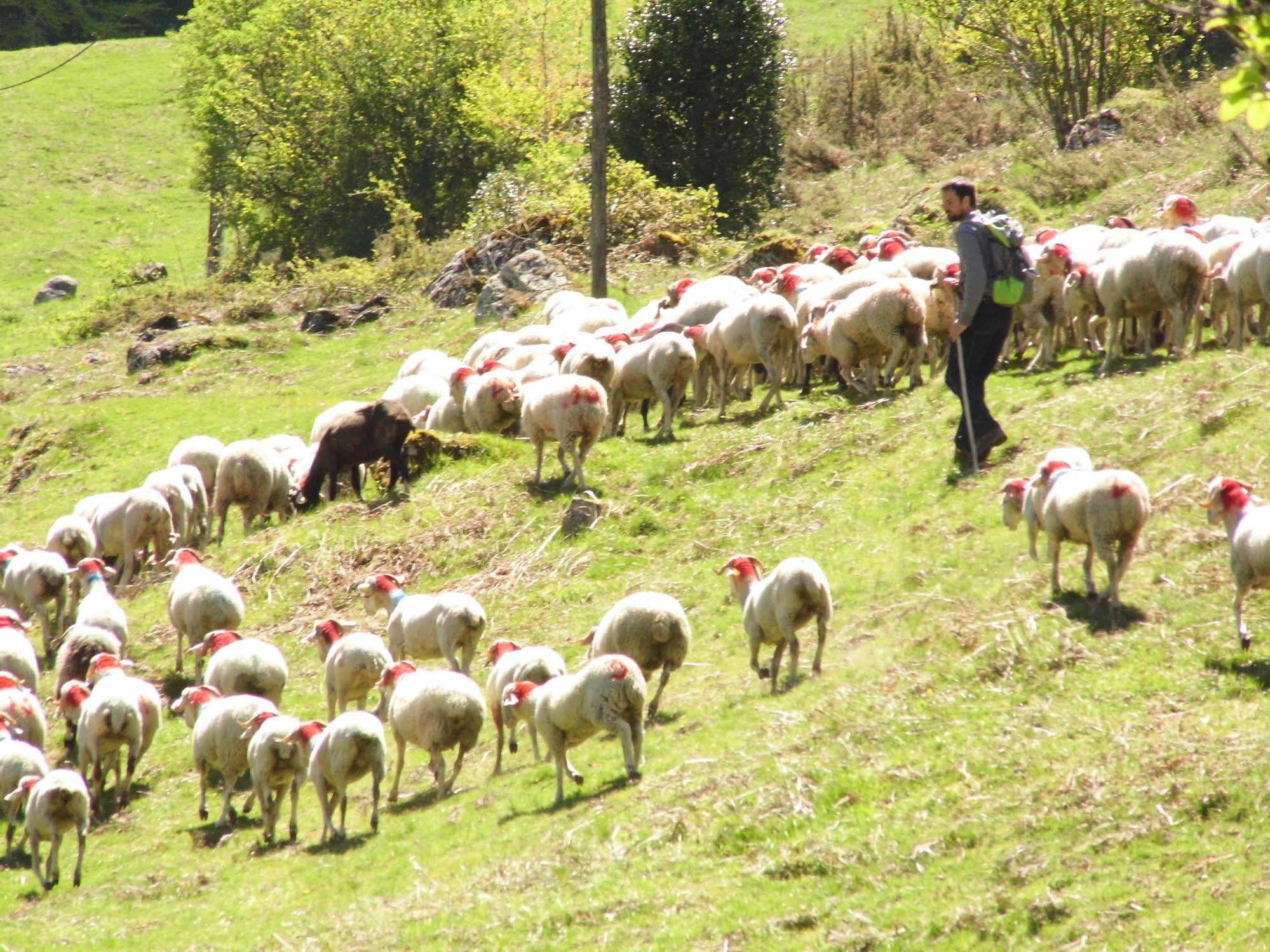 Gite Auberge Les Cascades La Mongie Dış mekan fotoğraf